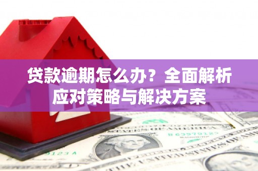 芦溪贷款逾期怎么办？全面解析应对策略与解决方案