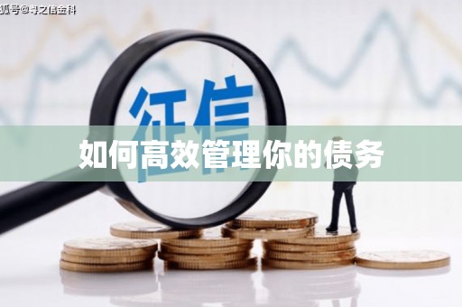 芦溪如何高效管理你的债务