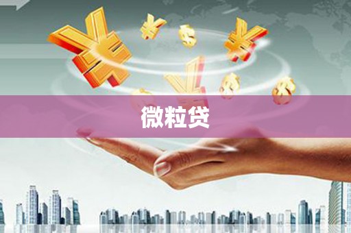 芦溪微粒贷