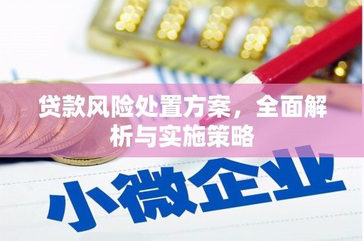 芦溪贷款风险处置方案，全面解析与实施策略