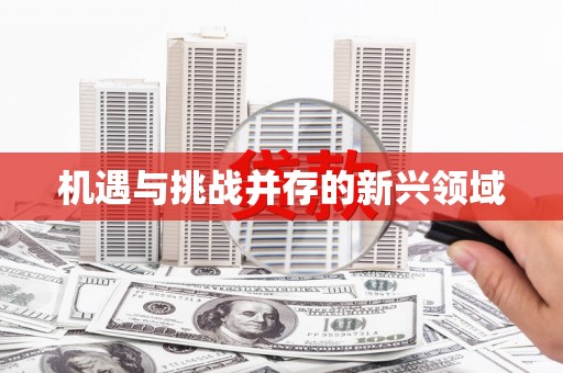 芦溪机遇与挑战并存的新兴领域