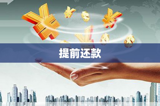 芦溪提前还款