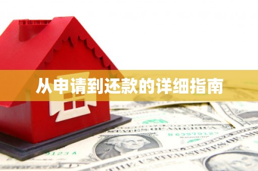 芦溪从申请到还款的详细指南
