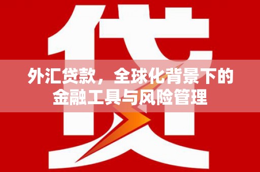 芦溪外汇贷款，全球化背景下的金融工具与风险管理