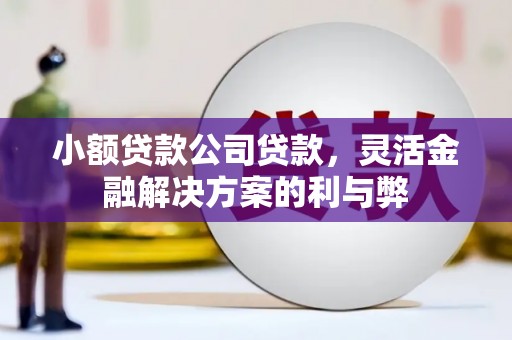 芦溪小额贷款公司贷款，灵活金融解决方案的利与弊